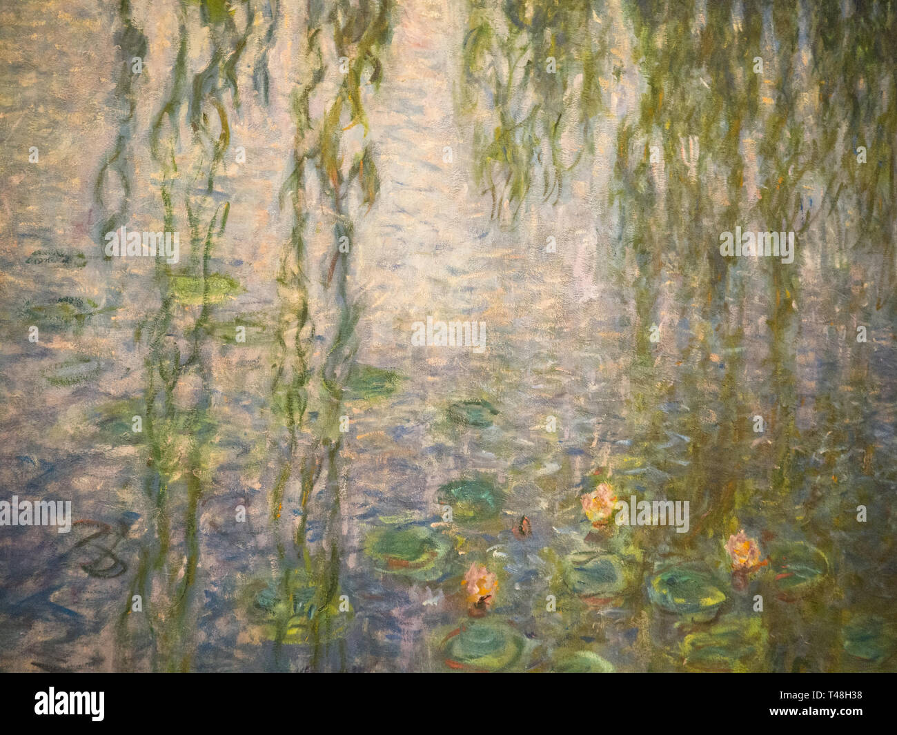 Nahaufnahme von Monets Seerosen im Musée de l'Orangerie in Paris Stockfoto