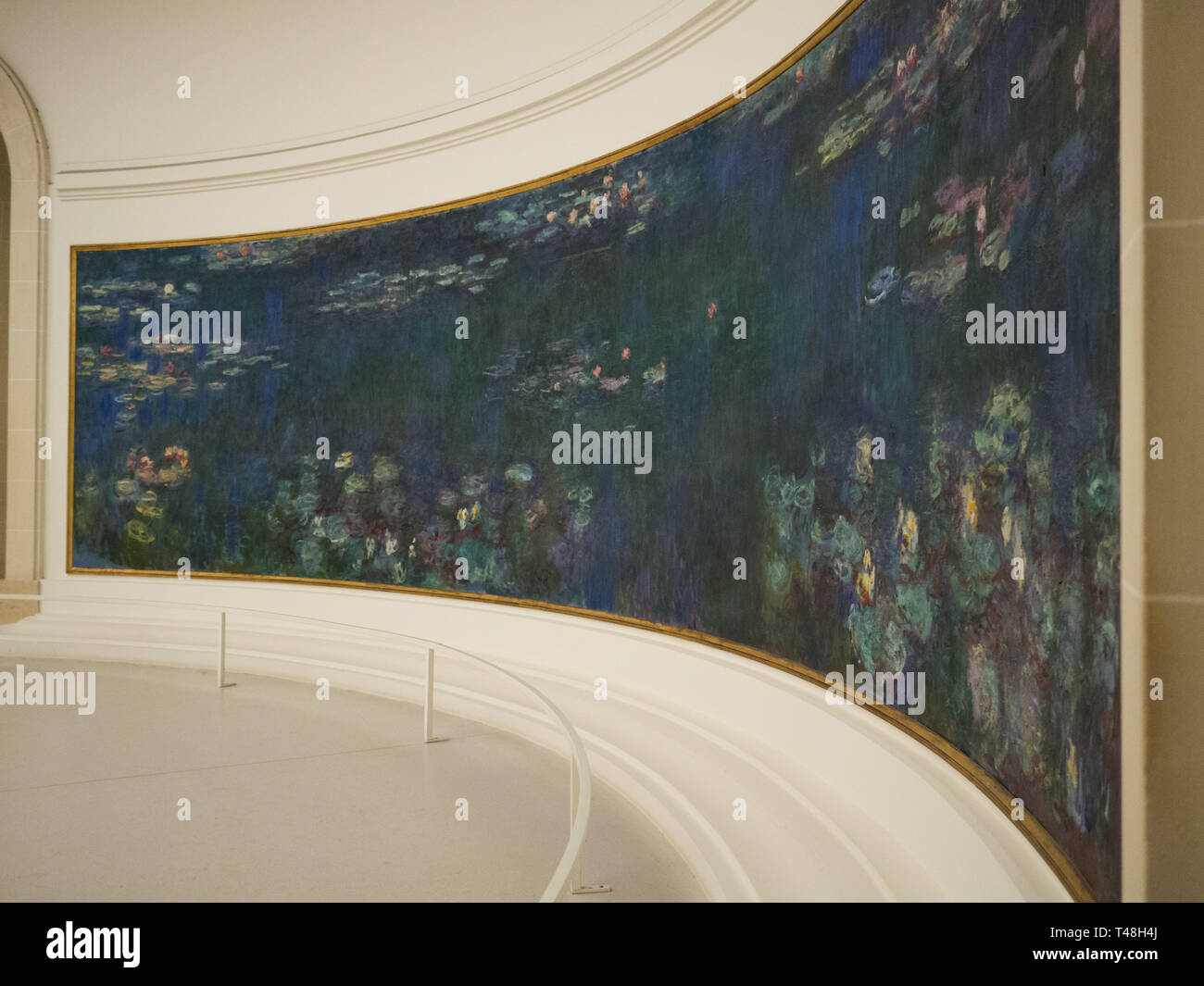Monets Seerosen im gekrümmten Raum des Musée de l'Orangerie Stockfoto