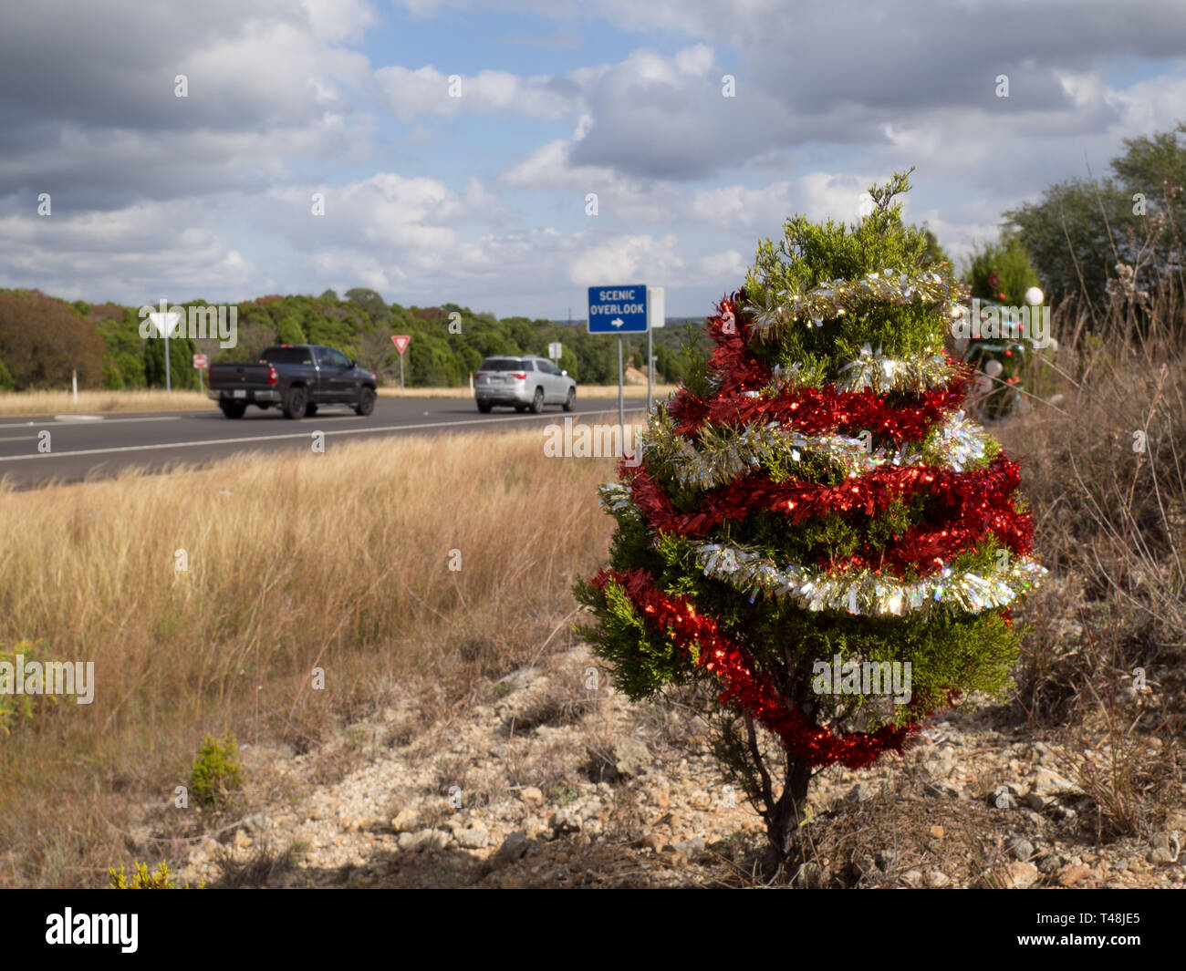 Wacholder für Weihnachten auf der 360 Autobahn in Austin, Texas eingerichtet Stockfoto