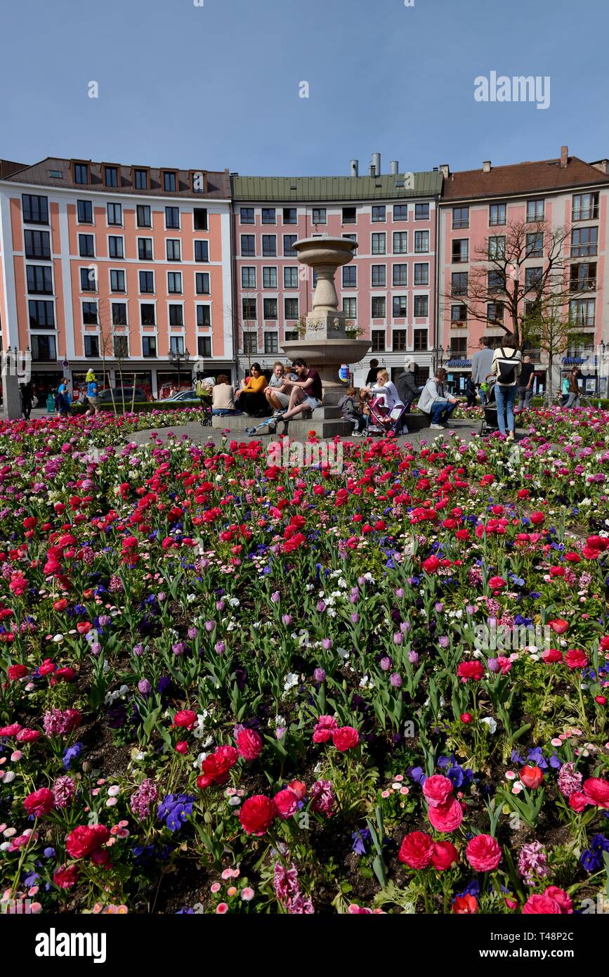 Blumenbeete am gartnerplatz Fotos und Bildmaterial in hoher Auflösung
