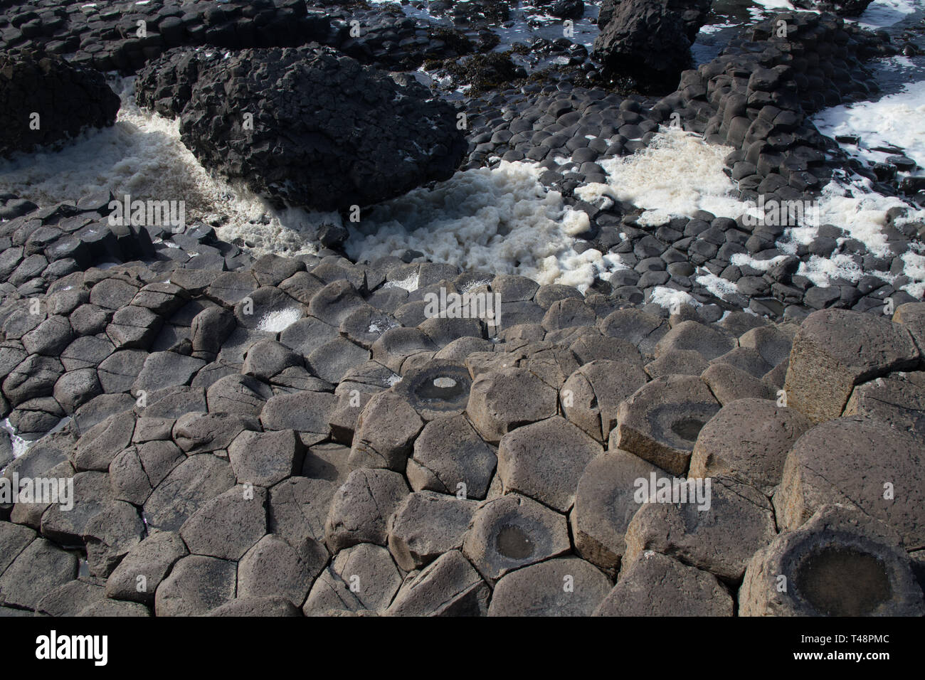 Sechseckige Steine am Giant's Causeway in Nordirland Stockfoto