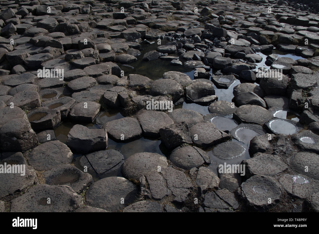 Sechseckige Steine am Giant's Causeway in Nordirland Stockfoto