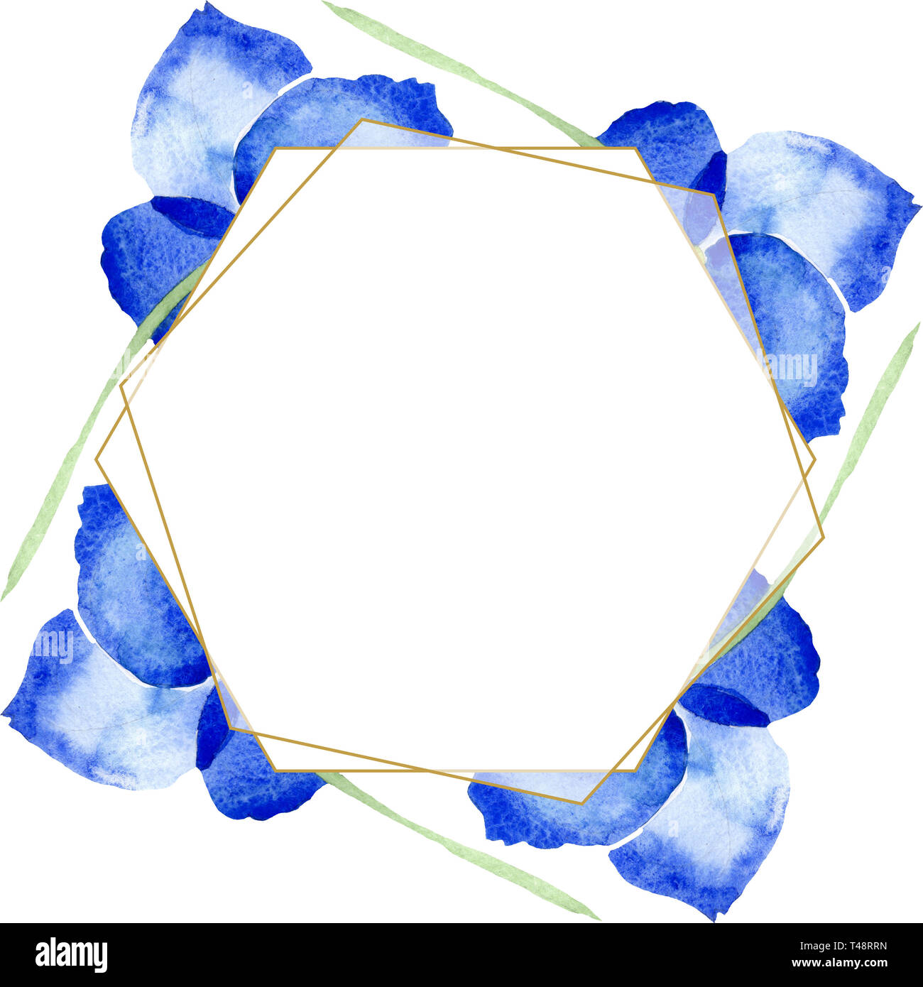 Blue Poppy botanischer Blumen Blumen. Aquarell Hintergrund Abbildung. Rahmenlinie ornament Quadrat. Stockfoto