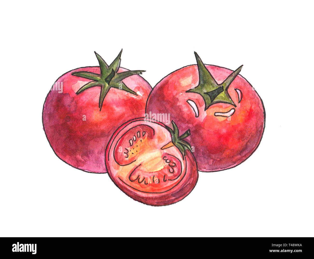 Aquarell Tomaten auf weißem Hintergrund. Frische aquarell Tomate Stockfoto