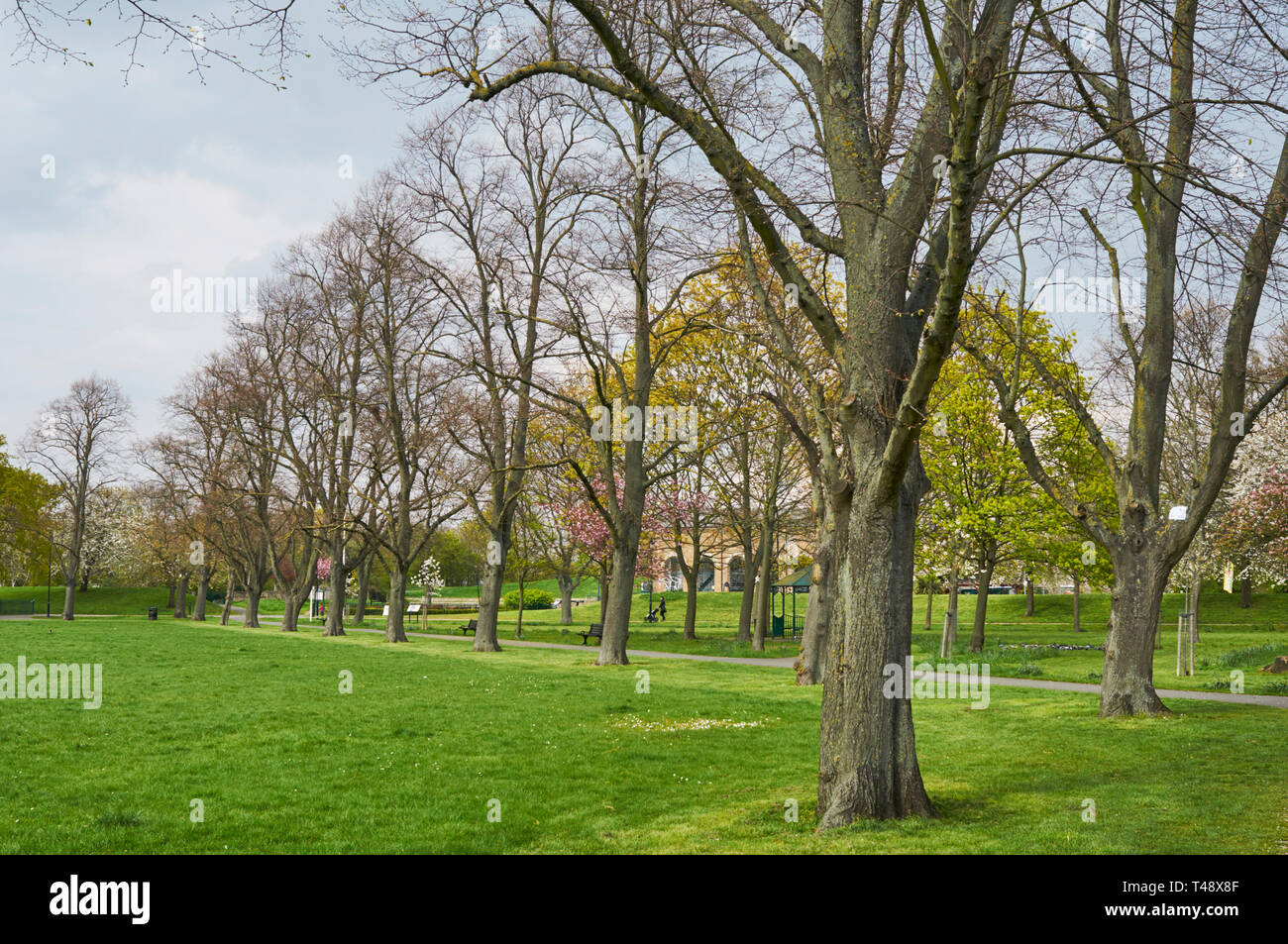 MARKFIELD Park, South Tottenham, London UK, im Frühling Stockfoto
