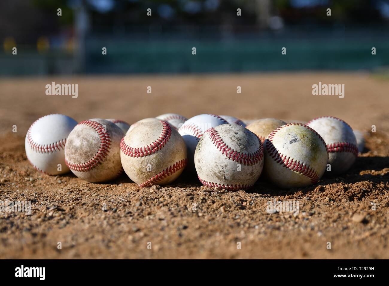 Nahaufnahme einer Menge Spiel baseballs auf einem Baseball infield an einem sonnigen Tag mit einem Baseballfeld in den Hintergrund Stockfoto