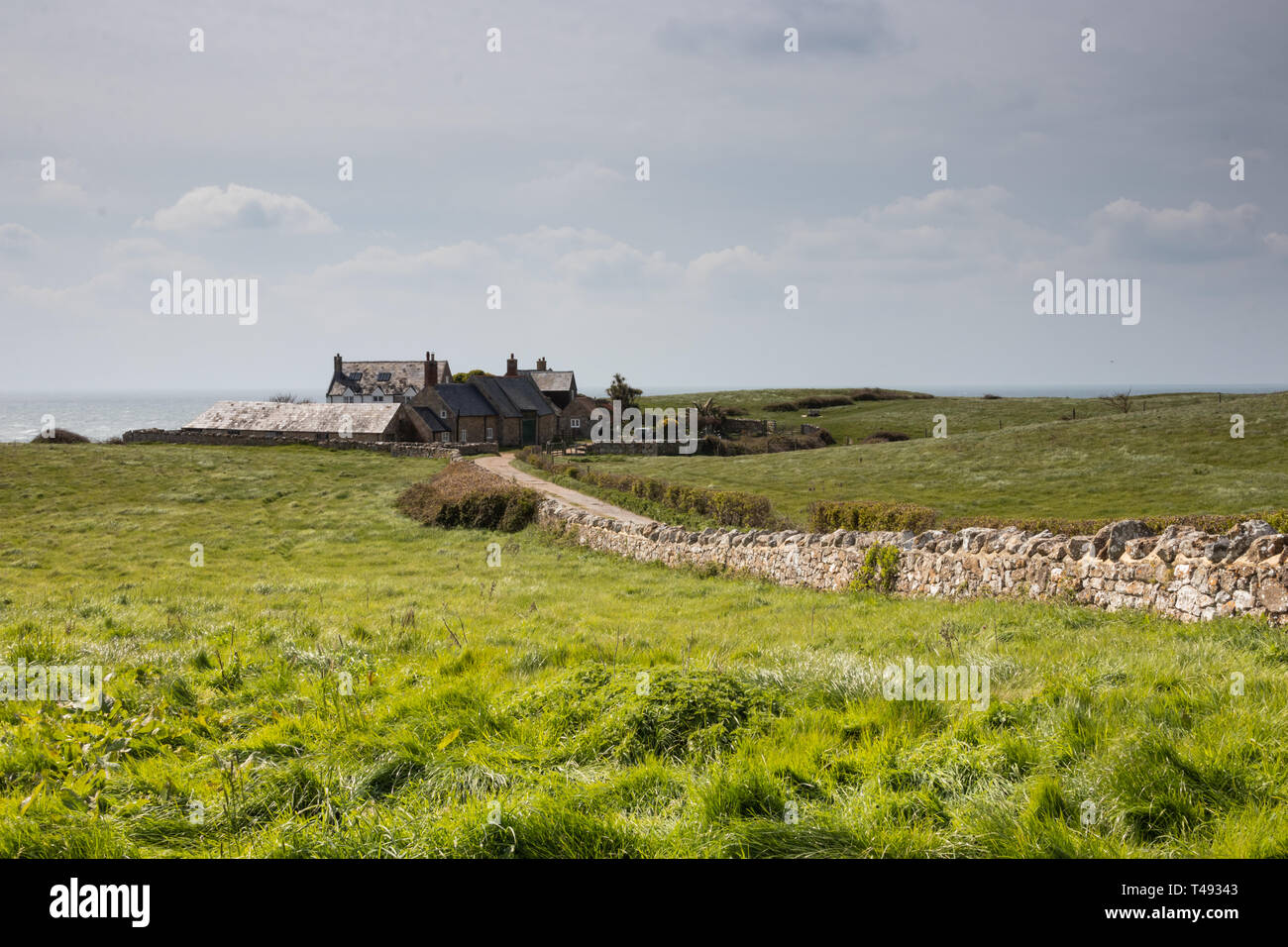Steinmauer, die zu Land Stone Cottages in der englischen Landschaft Stockfoto