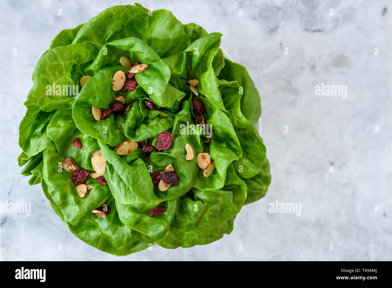 Leiter der frische Butter Kopfsalat mit in Scheiben geschnittenen Mandeln und getrockneten cranberry Salat Topper, in einer weißen Schüssel auf weißem und grauem Marmor Hintergrund Stockfoto