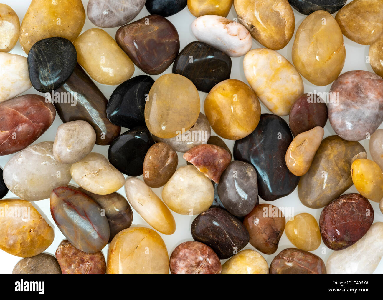 Zusammenfassung Hintergrund von Zierpflanzen polierte Steine. Stockfoto