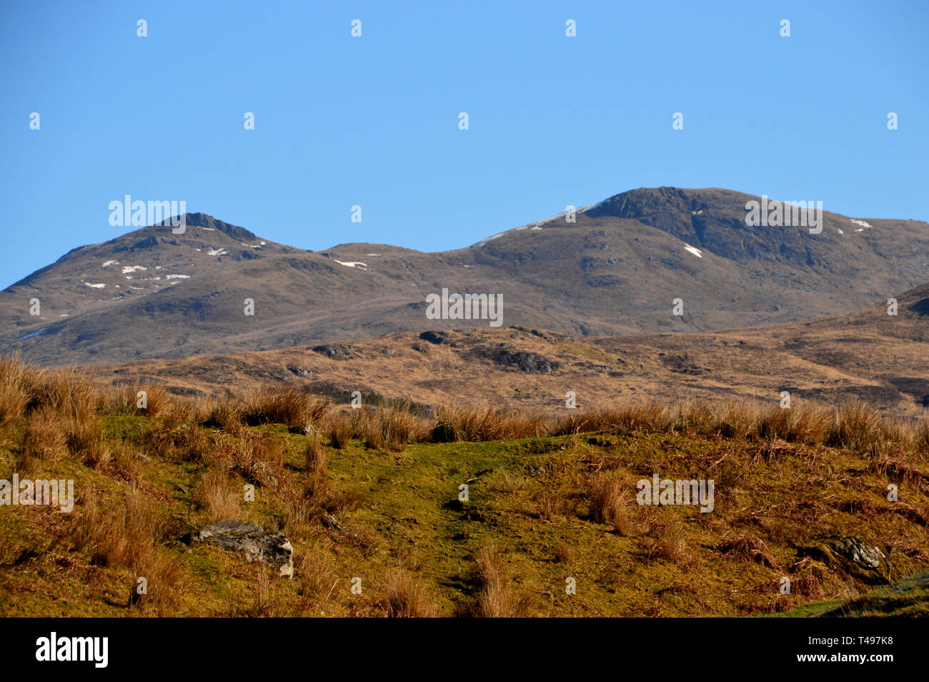 Die Schottischen Berge Munro Meall Glas Aus Uber Dem Auchessan Immobilien Im Glen Dochart Scottish Highlands Schottland Grossbritannien Stockfotografie Alamy