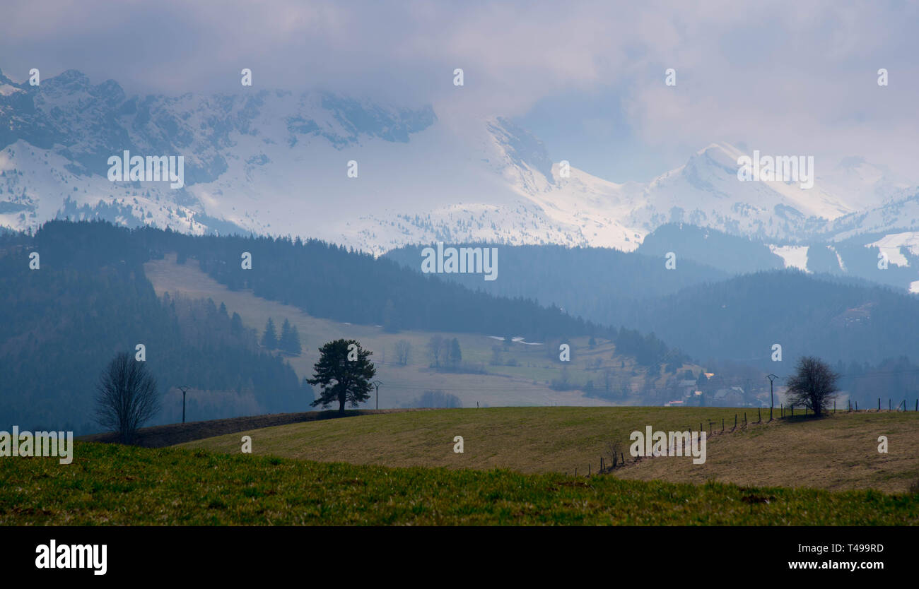 Snowy Mountains im Vercors, in Frankreich in der Nähe von Villard-de-Lans Stockfoto