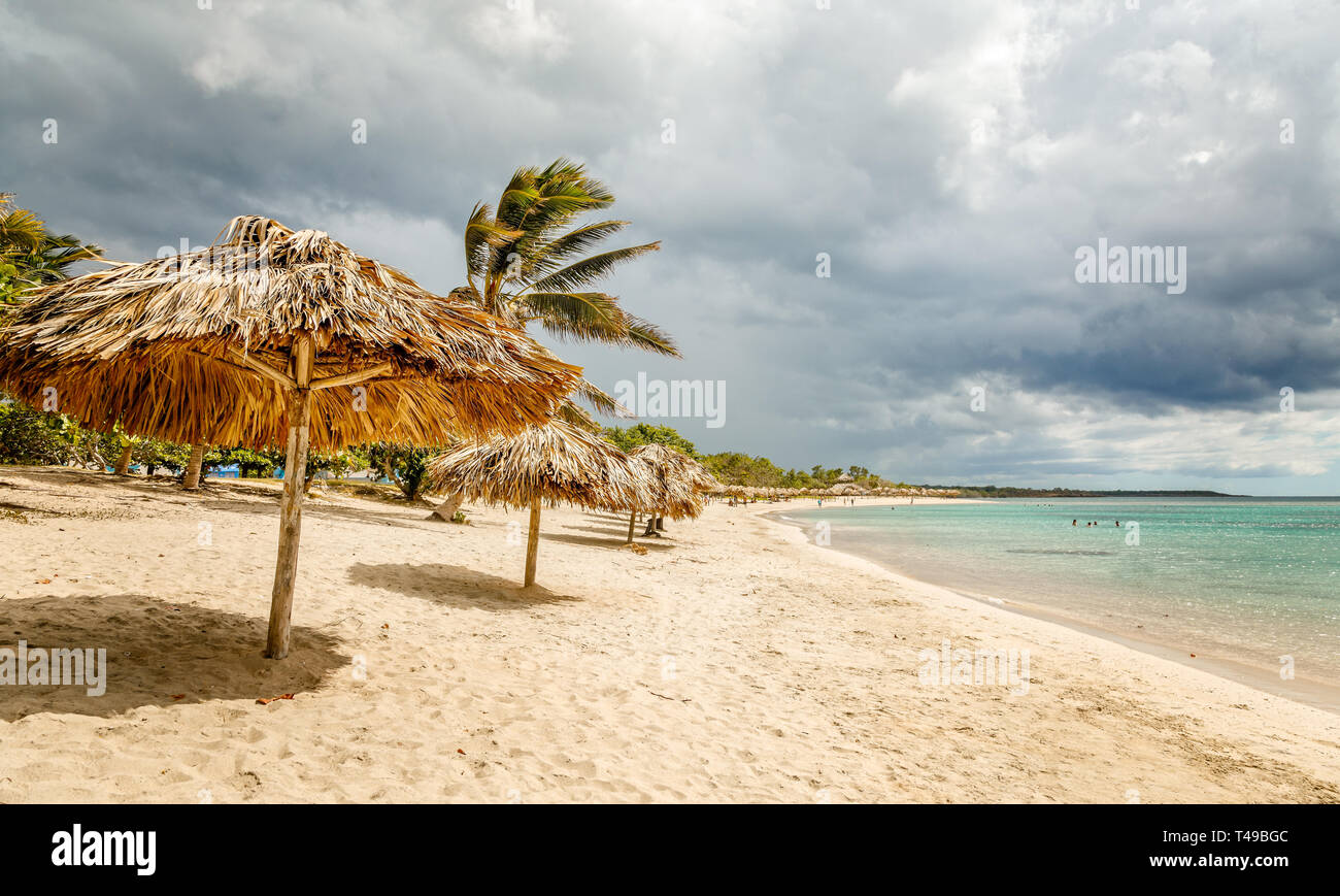 Rancho Luna Sandstrand mit Palmen und Stroh Sonnenschirme am Ufer, Cienfuegos, Kuba Stockfoto