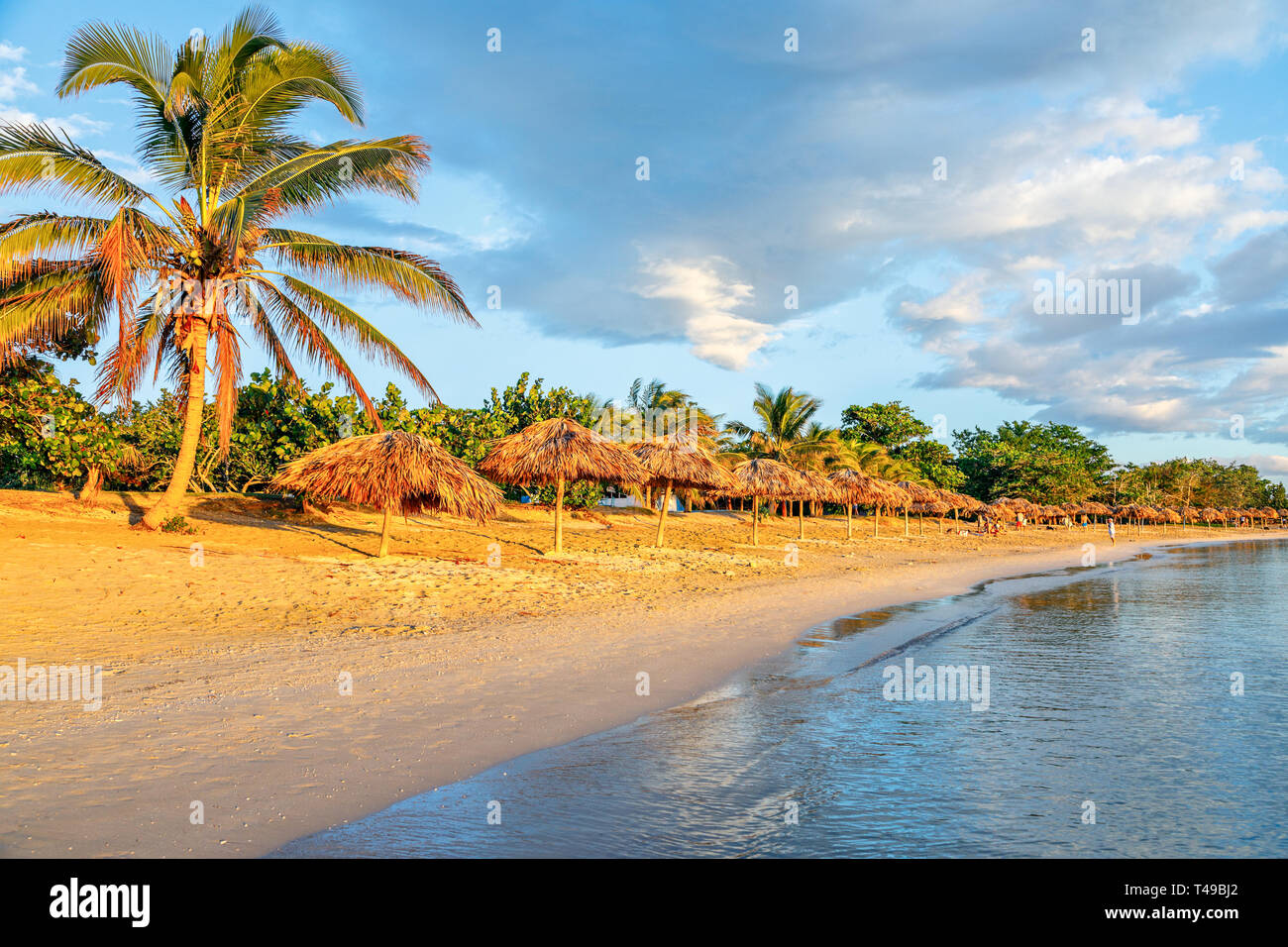 Rancho Luna karibischen Strand mit Palmen und Stroh Sonnenschirme am Ufer, Cienfuegos, Kuba Stockfoto