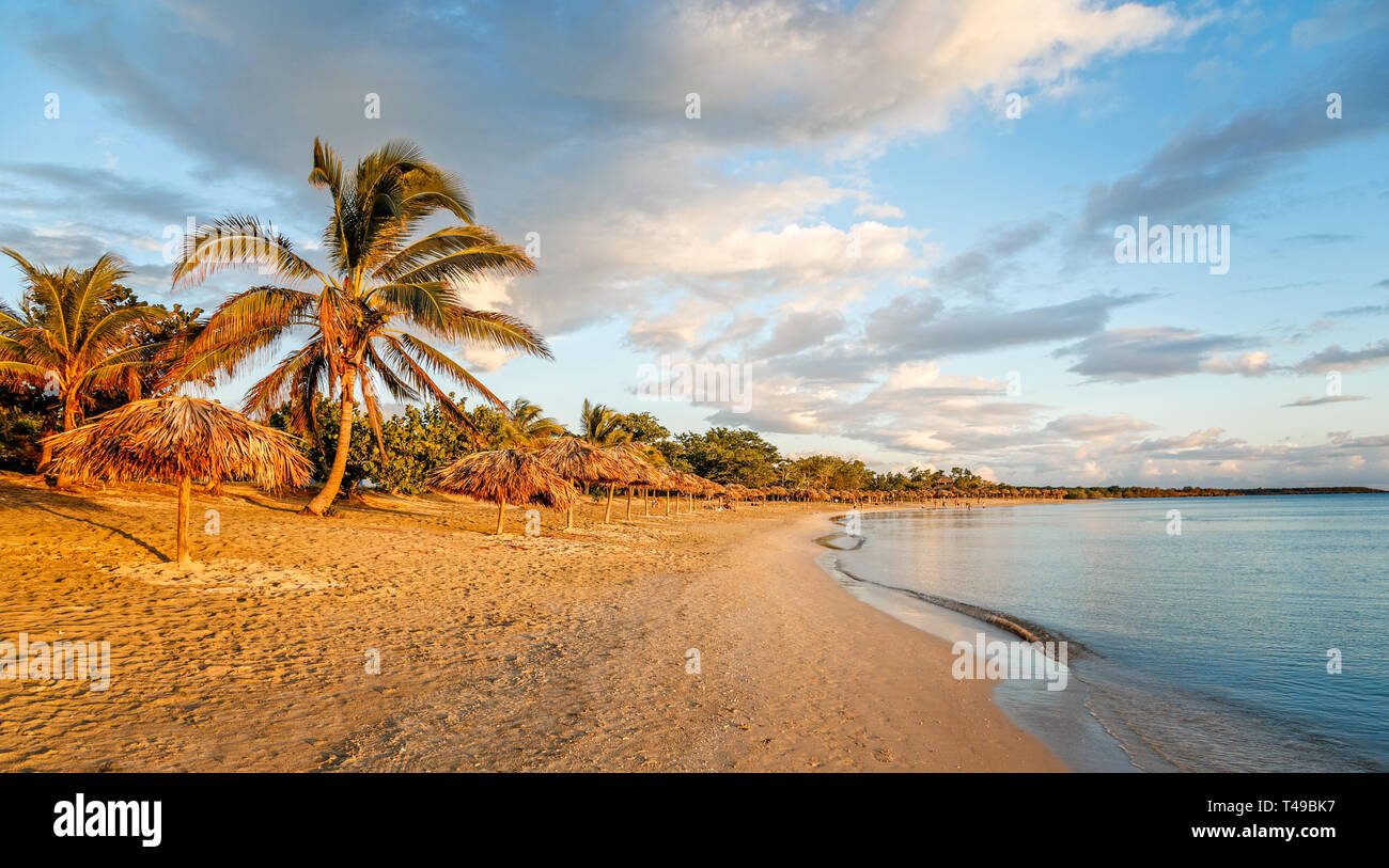 Rancho Luna Sandstrand mit Palmen und Stroh Sonnenschirme am Ufer, Cienfuegos, Kuba Stockfoto
