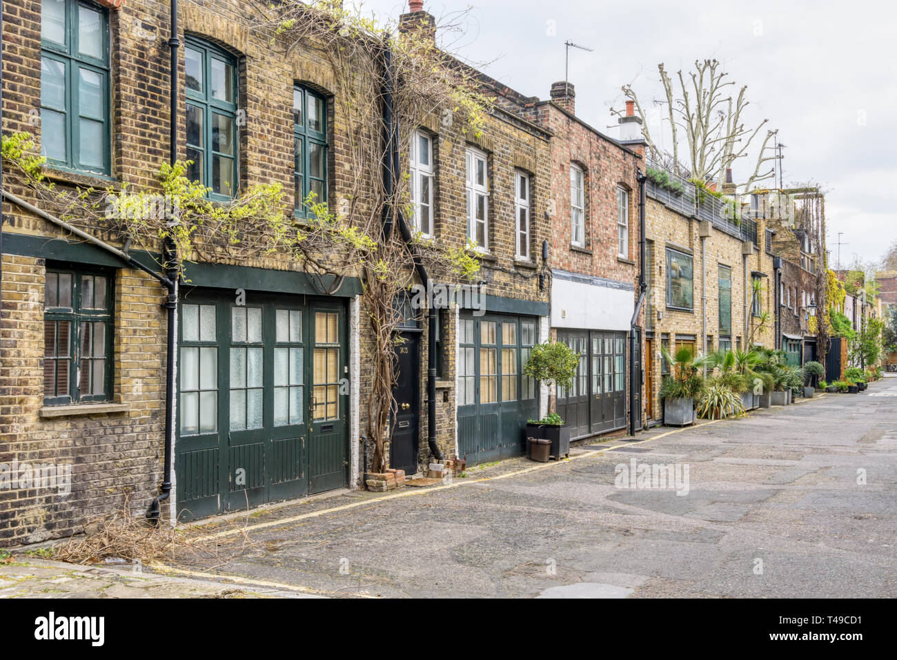 Doughty Mews ist Teil der Bloomsbury Conservation Area in Central London. Stockfoto