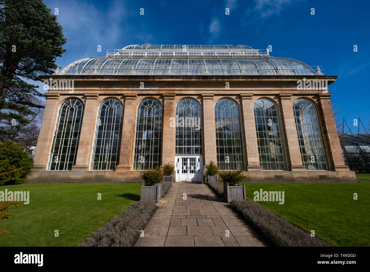 Das Palm House Gewächshaus an der Royal Botanic Garden in Edinburgh, Schottland, Vereinigtes Königreich Stockfoto