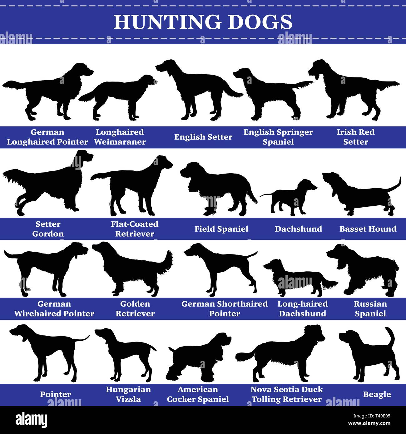 Set mit 20 Jagdhunde. Vektor einrichten der Jagd Rassen Hunde stehen im Profil. Isolierte Hunde Rasse Silhouetten in schwarzer Farbe auf weißem Hintergrund. Stock Vektor