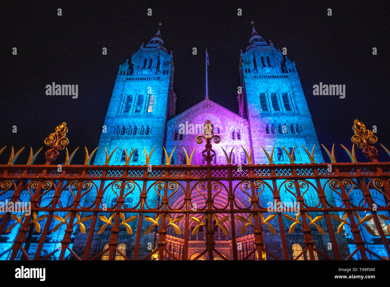 Natural History Museum bei Nacht - London, Großbritannien Stockfoto