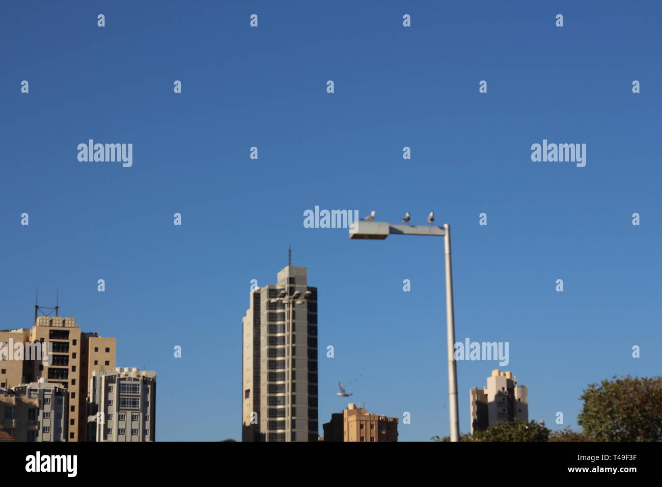 Kuwait Natur Schönheit bei Tag und Nacht Stockfoto