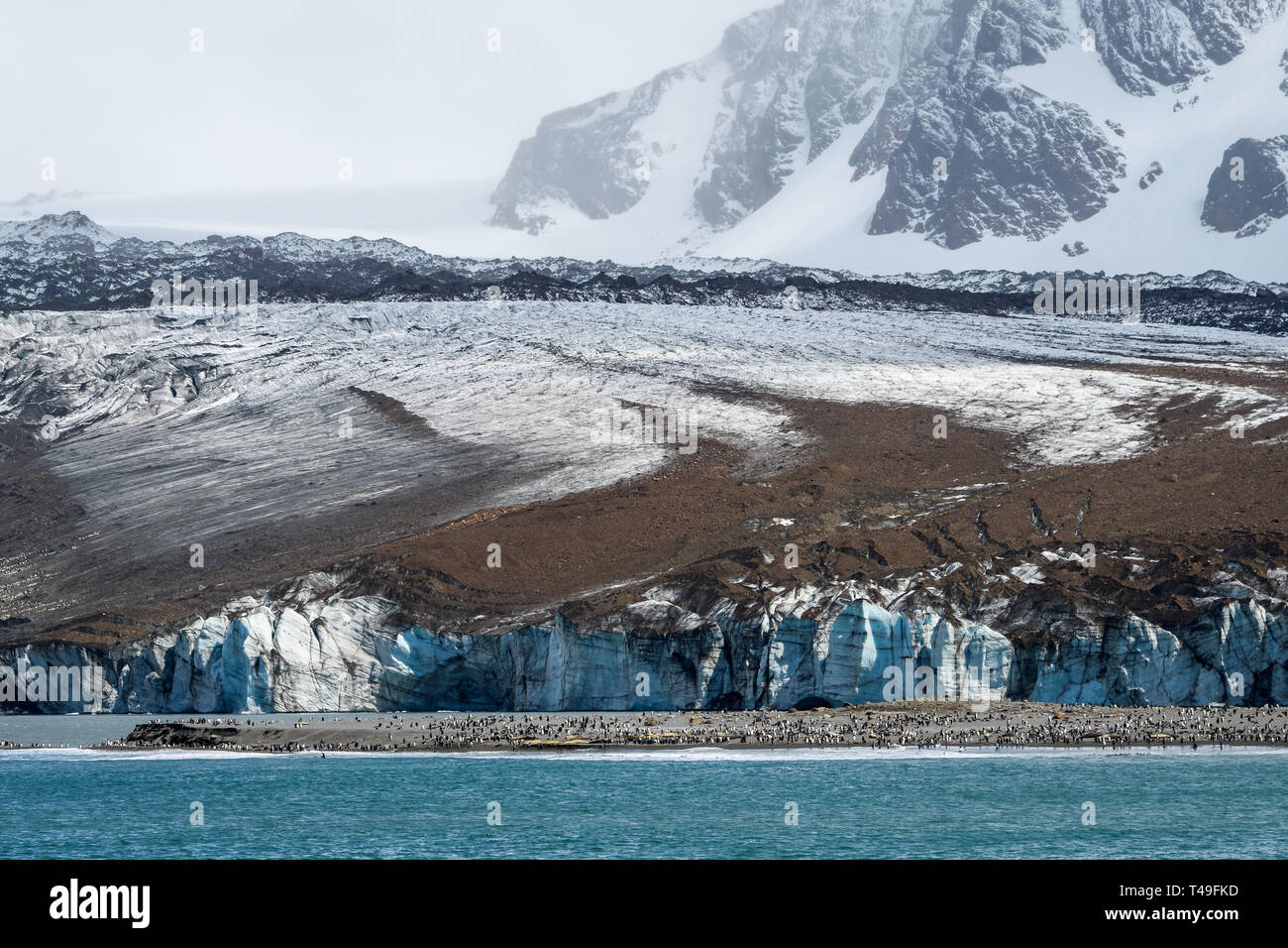 Gletscher in St. Andrews Bay mit einem großen König Pinguin Kolonie am Strand, Südgeorgien, Südliche Atlantik Stockfoto
