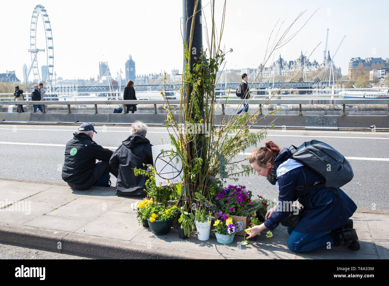 London, Großbritannien. 15. April 2019. Klima Aktivisten vor dem Aussterben Rebellion beginnen' International Rebellion UK - Abschalten London!" Veranstaltungen durch die Blockierung der Waterloo Bridge damit beginnen, ein Garten entlang der Länge der Brücke auf der Regierung auf, dringend Maßnahmen zur Bekämpfung des Klimawandels zu ergreifen. Credit: Mark Kerrison/Alamy leben Nachrichten Stockfoto