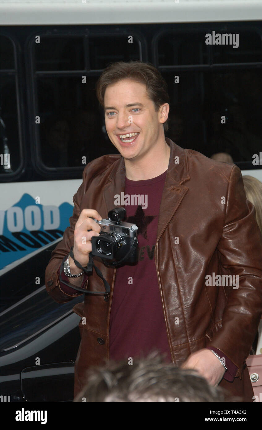 LOS ANGELES, Ca. November 09, 2003: Schauspieler Brendan Fraser im Rahmen  der Weltpremiere in Hollywood, seines neuen Films Looney Tunes Back in  Action Stockfotografie - Alamy