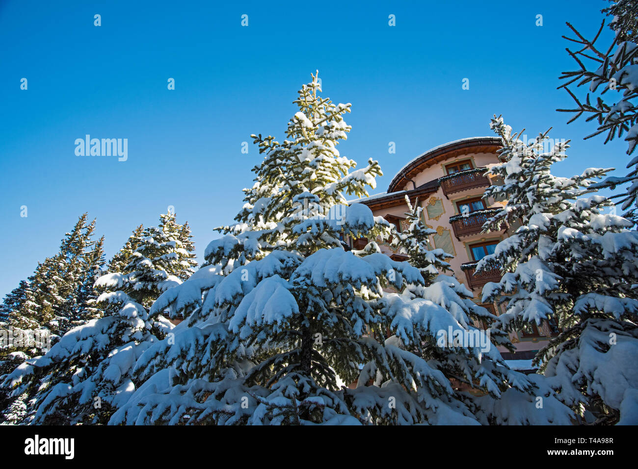 Panorama der schneebedeckten Bäumen in einem alpinen Skigebiet mit Wohnhaus am Hang Stockfoto