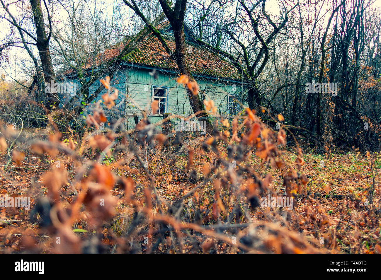 Verlassene Dorf Novoshepelychi in der Nähe von Tschernobyl. Es wurde am 27. April 1986 evakuiert, Tag nach dem Verheerendsten nuc Stockfoto