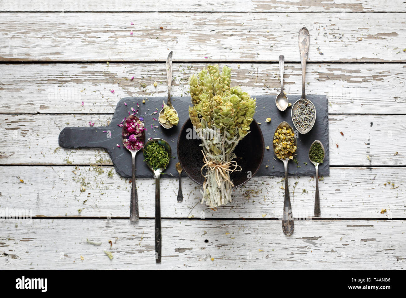 Kräuter. Getrocknete Kräuter Salbei Libanesischen, Kamille, Ackerschachtelhalm, Lavendel. Stockfoto