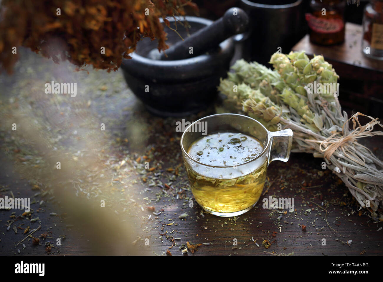 Natürliche Medizin. Eine Infusion von libanesischen Salbei. Heilung Kräutertee. Stockfoto