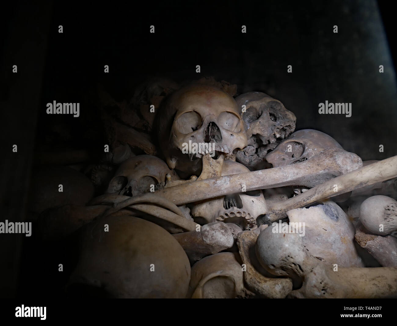 Schädel und Knochen in der Tötung Höhlen von Kambodscha. Phnom Sampeau entfernt, in Battambang, Kambodscha, 01-12-2018. Stockfoto