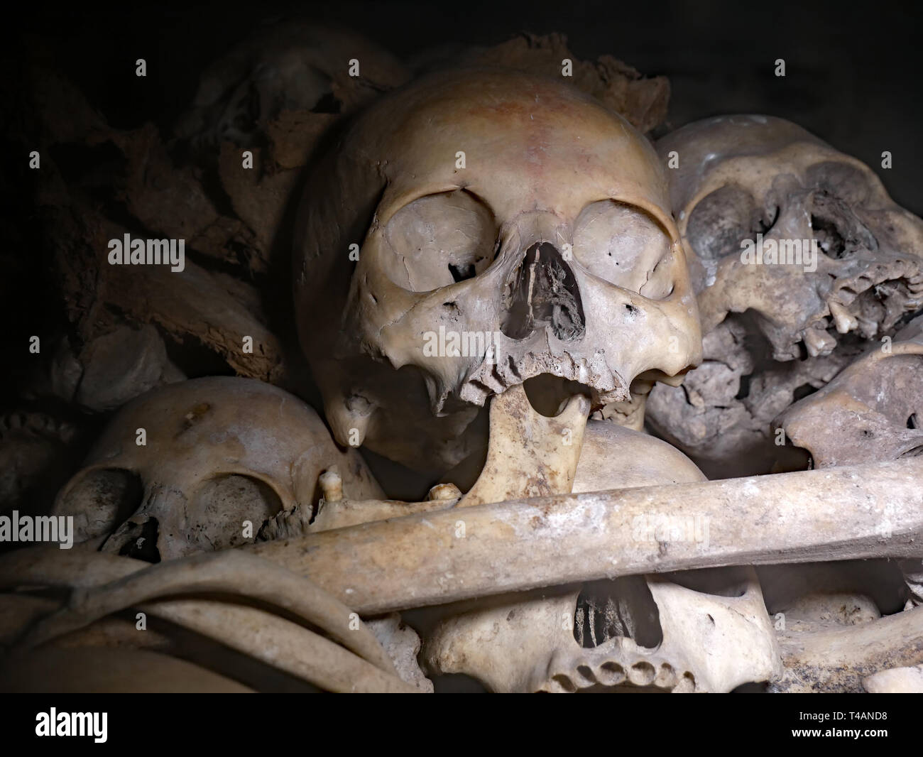 Ein Haufen von Schädeln und Knochen, die in der Tötung Höhlen von Phnom Sampeau entfernt. Ein jeder eine Person, die von der Khmer Rouge ermordet. In Battambang, Kambodscha, 01-12-2018. Stockfoto