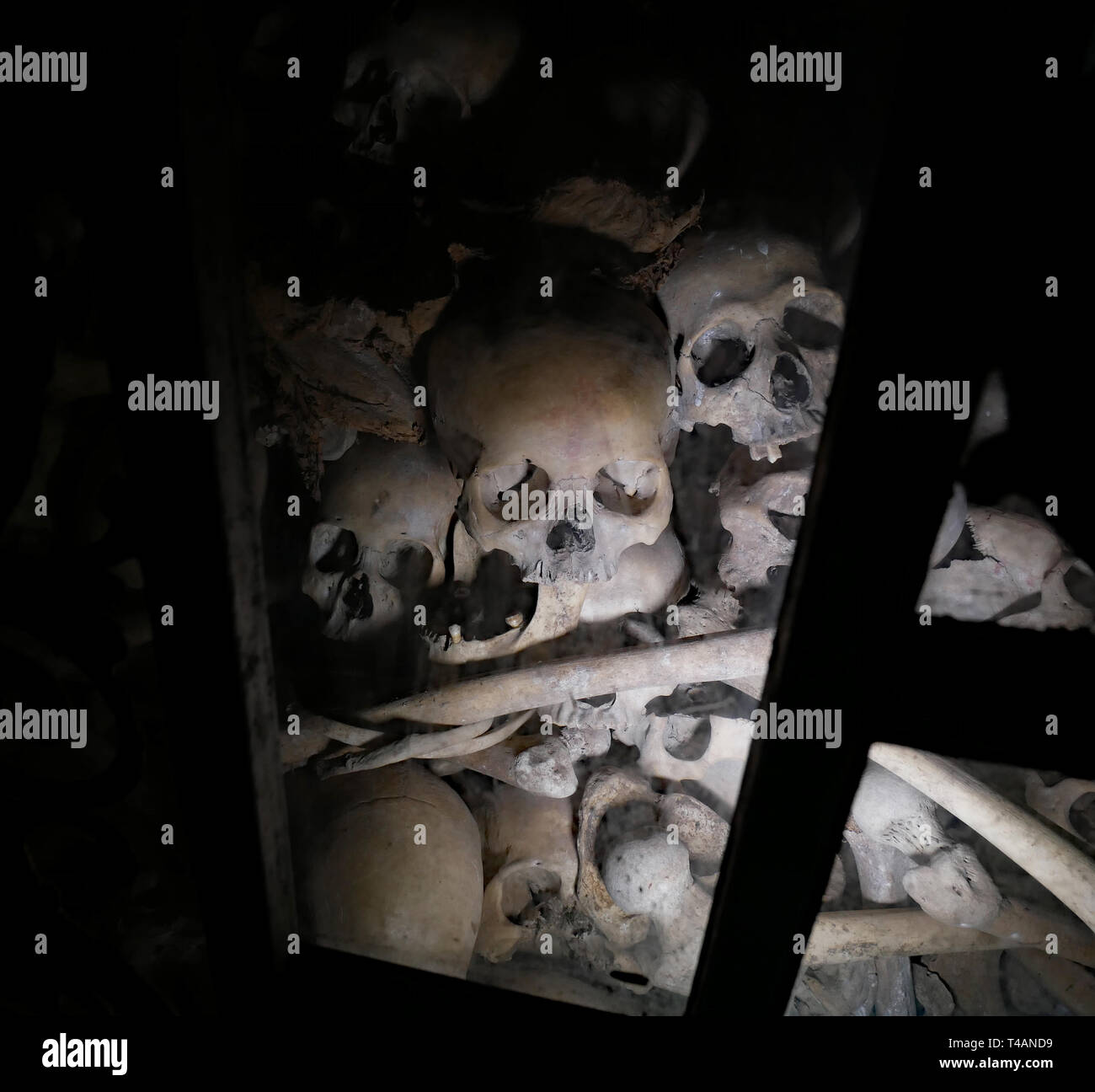 Ein Haufen von Schädeln und Knochen, die in der Tötung Höhlen von Phnom Sampeau entfernt. Ein jeder eine Person, die von der Khmer Rouge ermordet. In Battambang, Kambodscha, 01-12-2018. Stockfoto