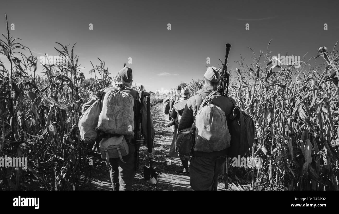 Gruppe der Re-enactors gekleidet als Zweiter Weltkrieg russisch-sowjetischen Soldaten der Roten Armee marschiert durch Herbst Cornfield. Foto in den Farben Schwarz und Weiß. Verkauft Stockfoto
