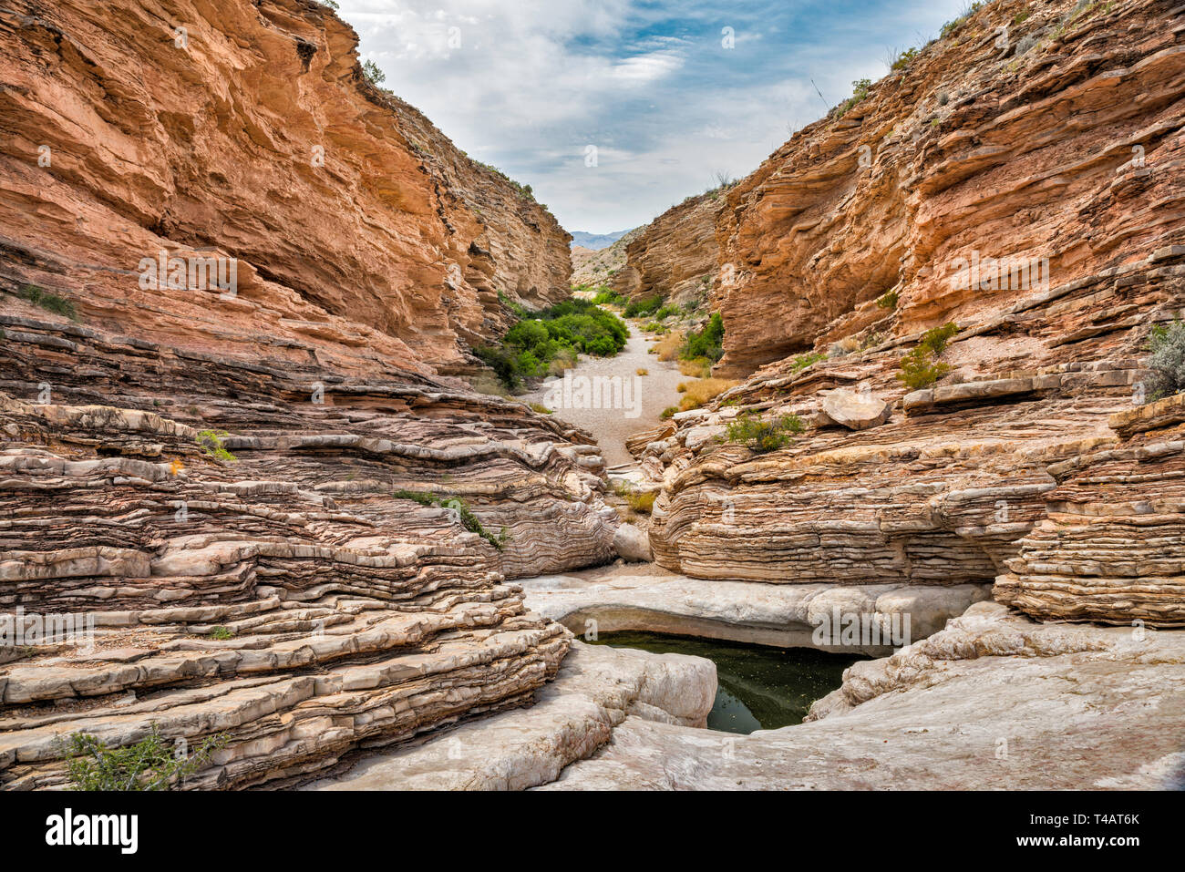 Kalkstein und Schiefer Schichten von boquillas Bildung bei Ernst Tinaja in Ernst Canyon, Big Bend National Park, Texas, USA Stockfoto