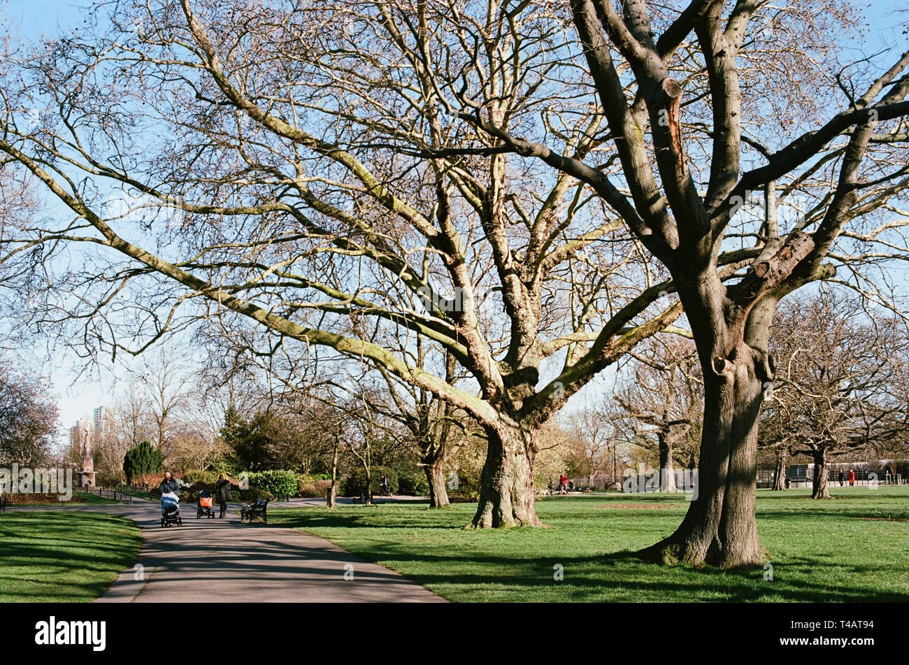 Clissold Park, Stoke Newington, nördlich von London, im Frühling Stockfoto
