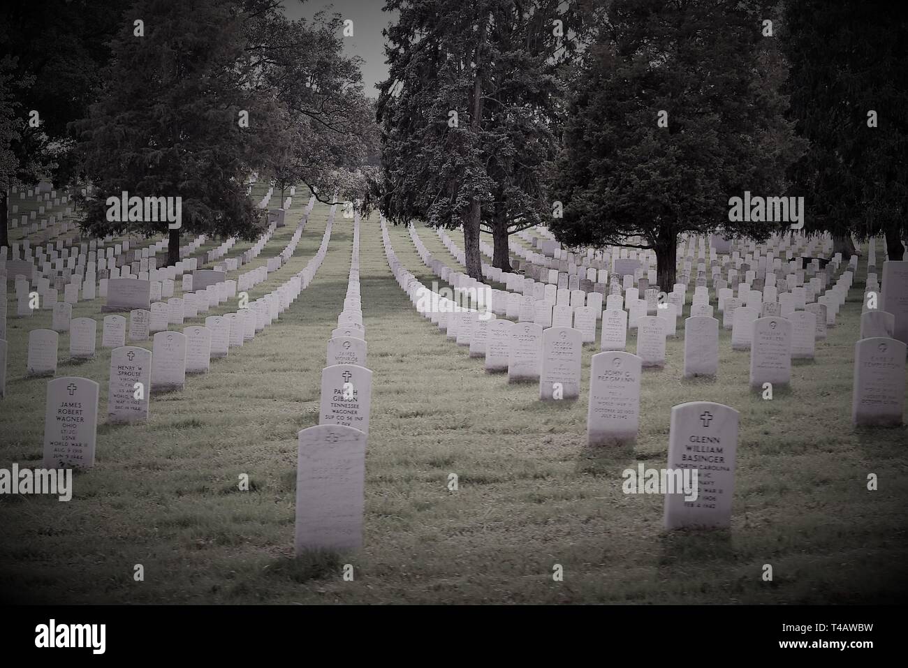 Nationalfriedhof Arlington Stockfoto