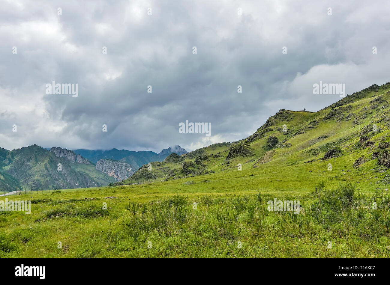 Malerische düster bewölkt Sommer Landschaft der Berge mit grünem Gras und Büschen bedeckt und mit verstreuten Felsblöcken im Altai Gebirge, Stockfoto