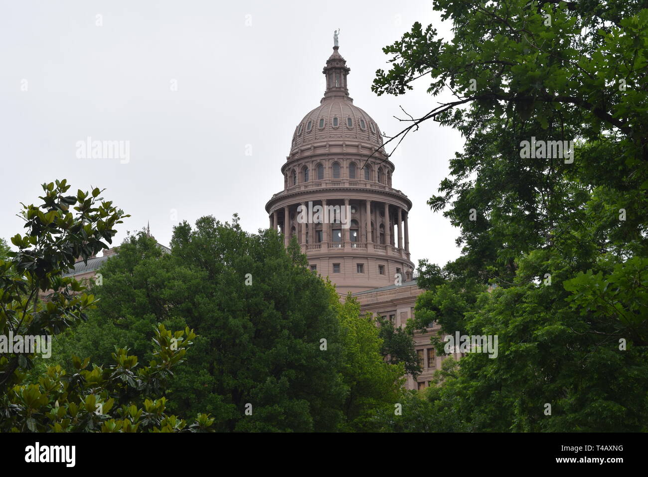 Die schöne Texas State Capitol Building Stockfoto