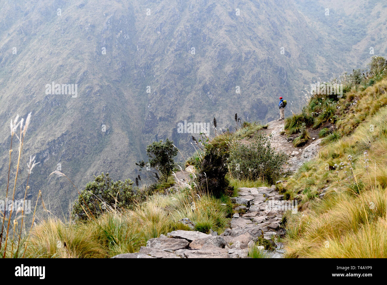 Hispanic Mann stehend auf dem historischen Inca Trail, der durch die Berge nach Machu Picchu in Peru geht Stockfoto
