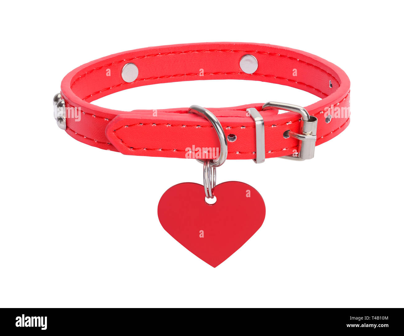 Herz Dog Tag mit Leder Halsband isoliert auf weißem Hintergrund. Stockfoto
