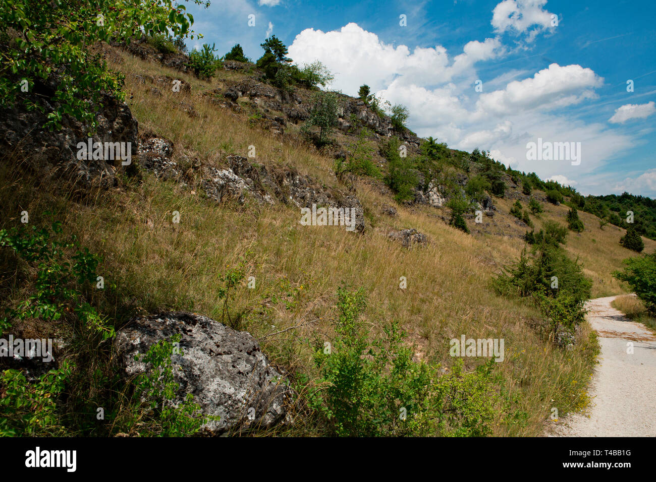Trockenrasen Kallmuenz, Bayern, Deutschland, Kallmünz, Kallmunz Stockfoto