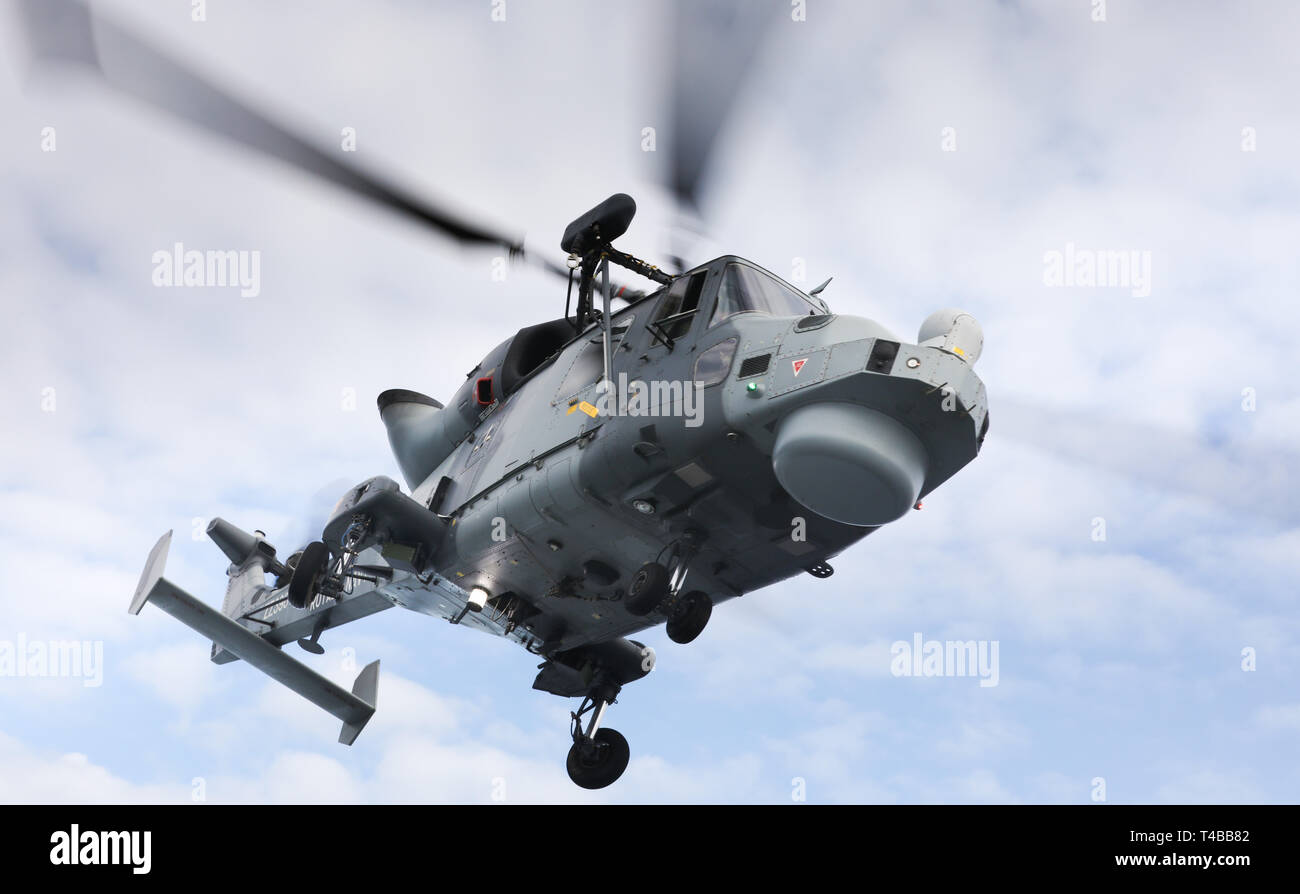 Royal Navy, Wildcat kampfhubschrauber von 815 Naval Air Squadron Stockfoto