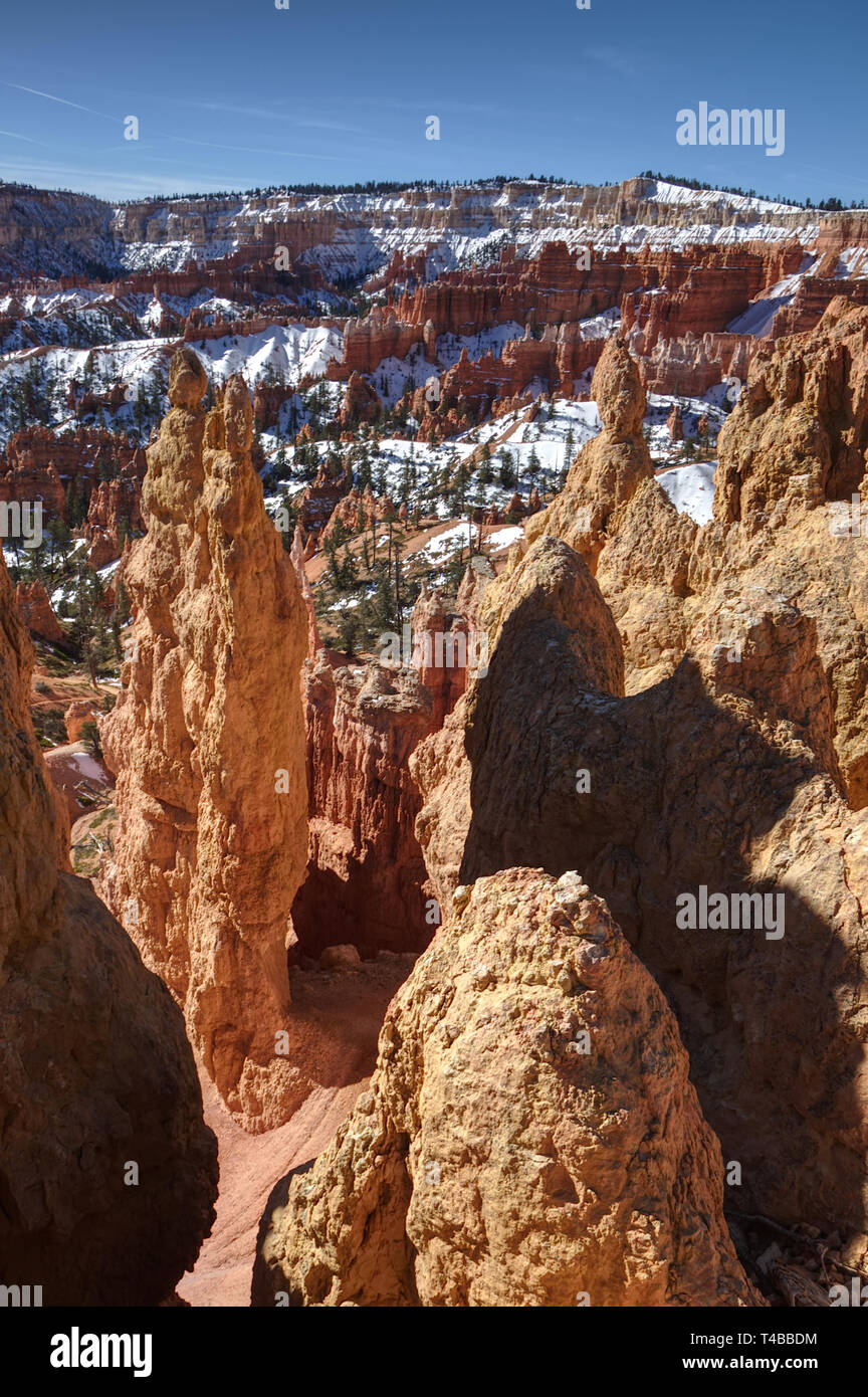 Portrait der Rocky rote Türme des Bryce Canyon National Park. Stockfoto