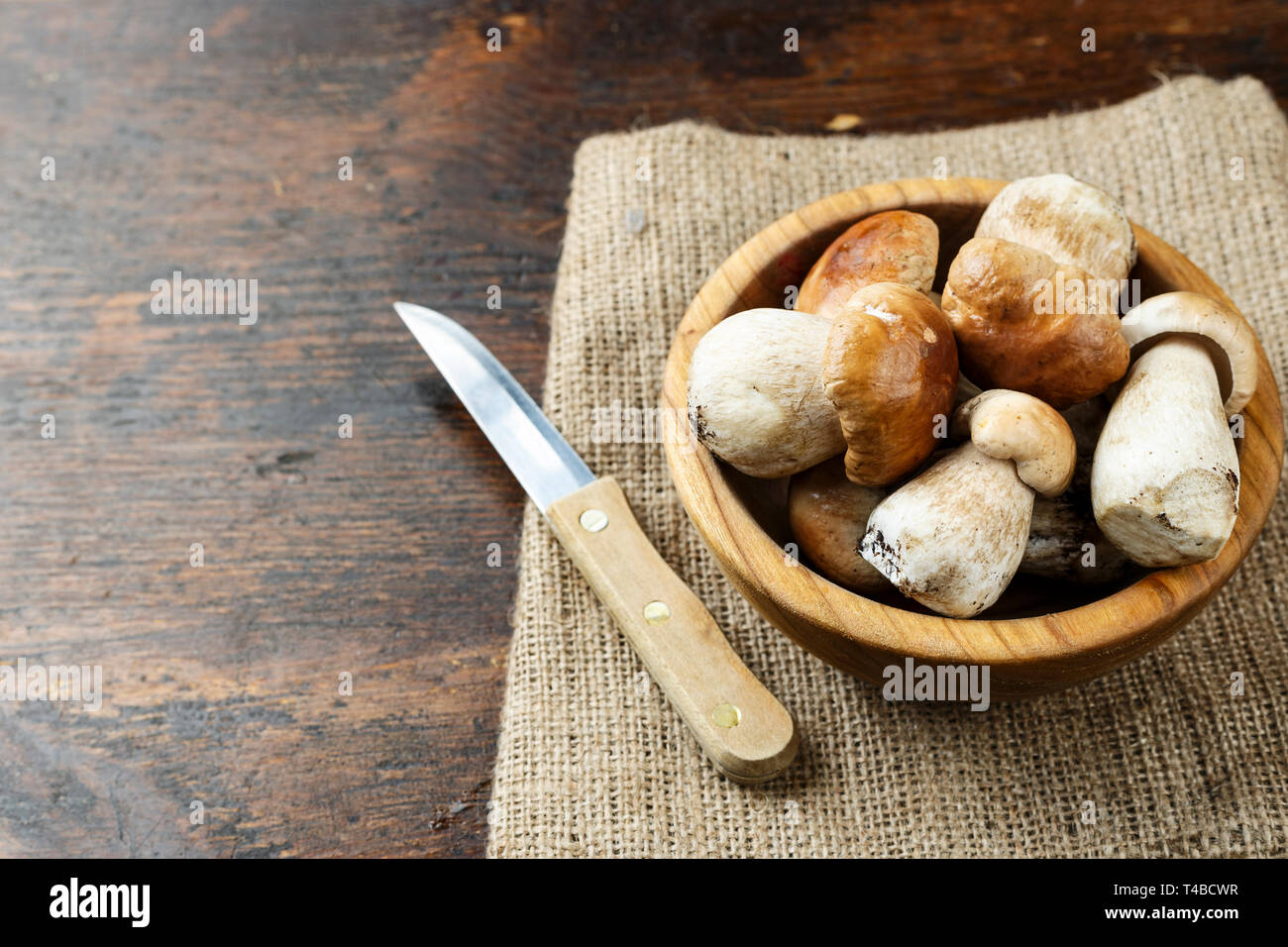 Ungekocht boletuses Weiße Pilze auf dem Tisch. Herbst Ernte. Deutlich sichtbare Textur des Pilzes Stockfoto