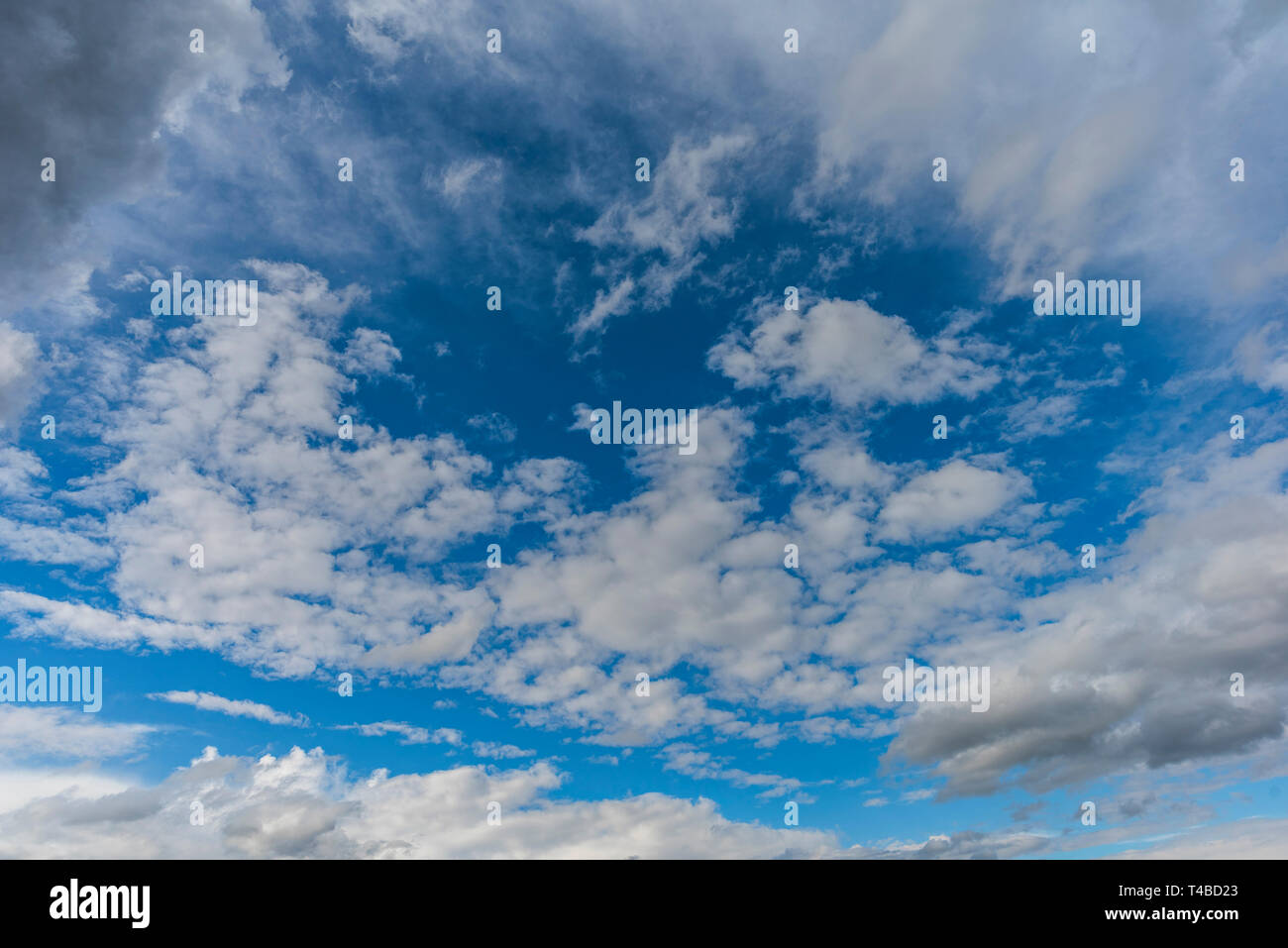 Blauer Himmel mit weißen geschwollenen Wolken Stockfoto