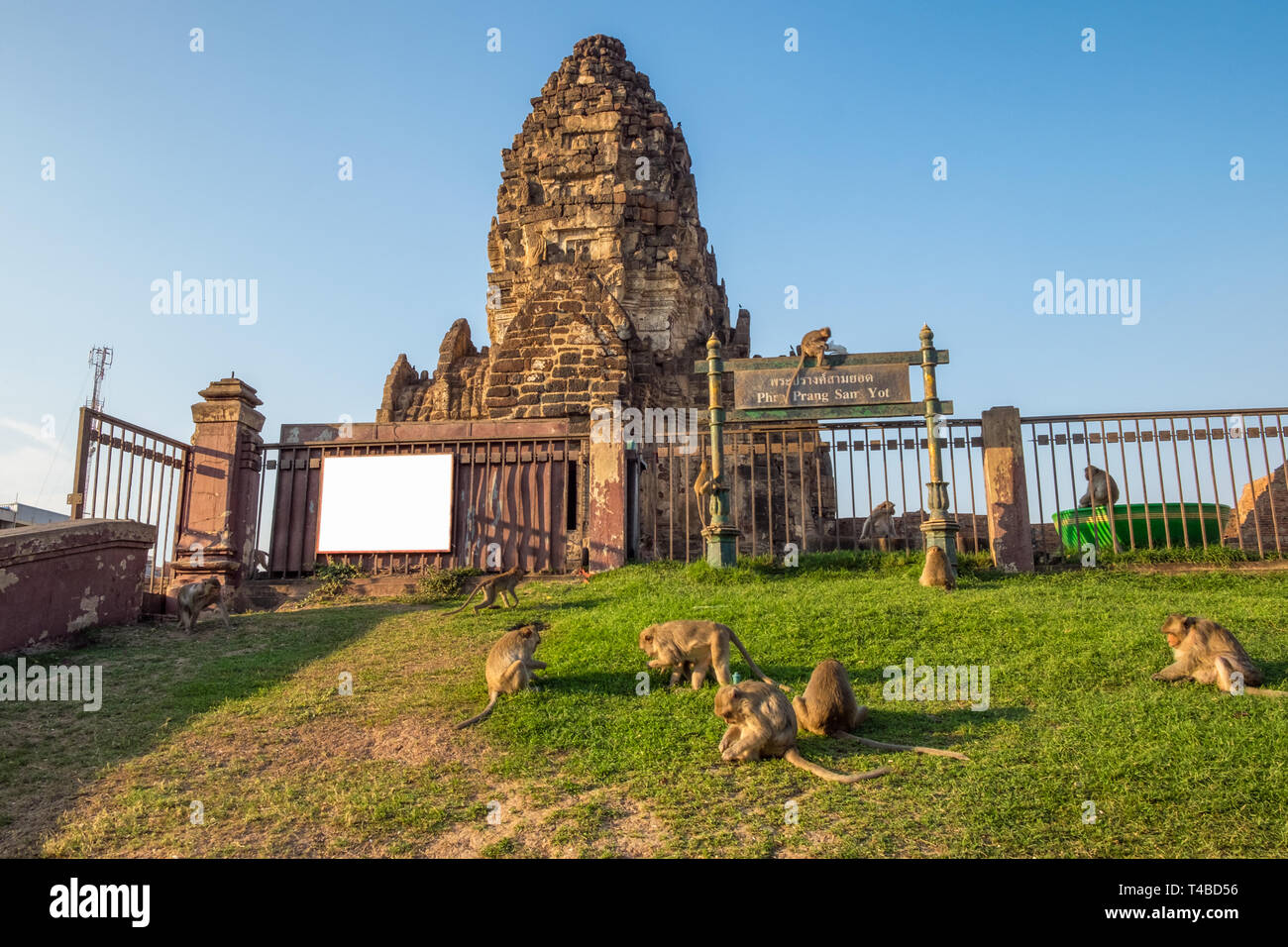 Architektur antike Ruine, Phra Prang Sam Yot Tempel mit Affen in lopburi Stockfoto