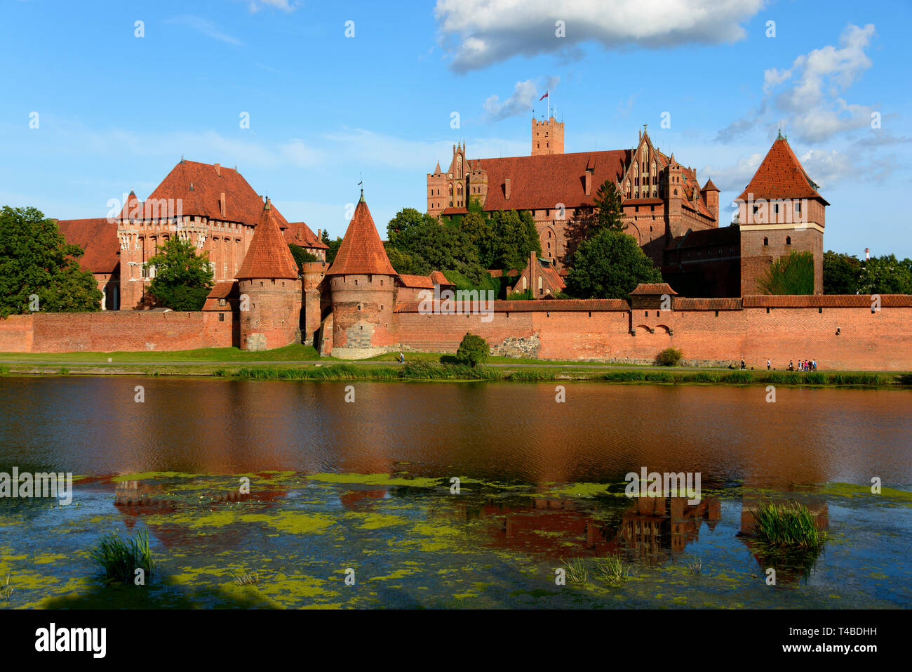 Die Marienburg, Fluss Fluß Nogat, Ostsee-autobahn, Polen Stockfoto