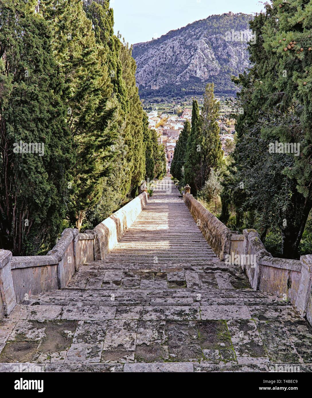 Calvari Schritte, keine Menschen, Bäume und eine schwarze Katze, Pollenca, Mallorca, Balearen, Spanien. Stockfoto