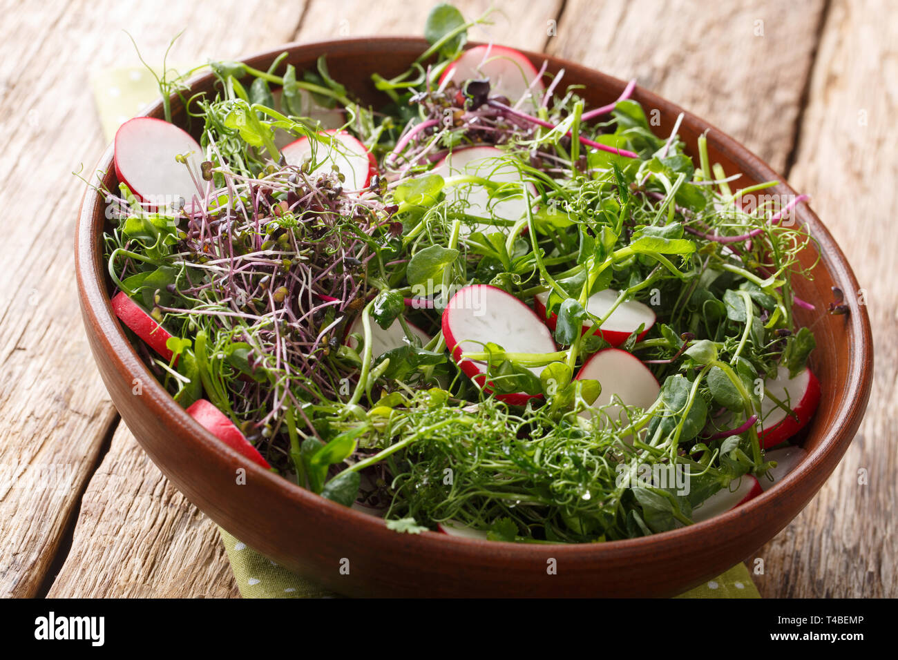 Bio Lebensmittel Rettich Salat mit Micro grün Mix close-up in einer Schüssel auf dem Tisch. Horizontale Stockfoto